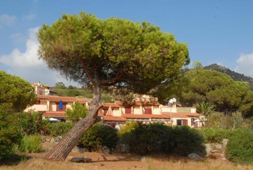 Motel Logis d'Abartello - Hôtel - Olmeto