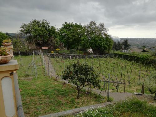 Casa Nel Vigneto