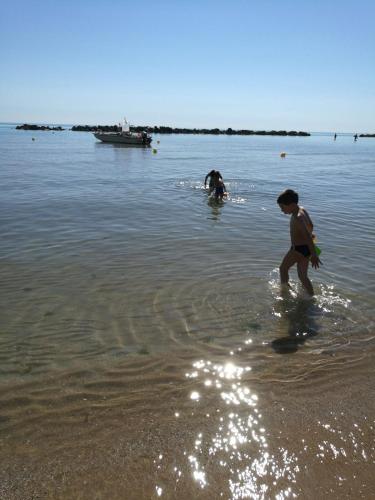 Hotel Nel Pineto - image 3