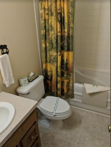 Rocky Mountain Lodge - image 5