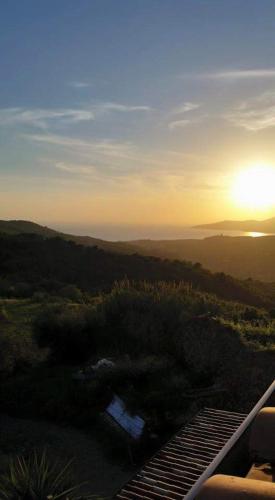 La rosa del Cilento