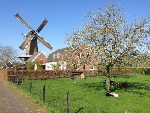 Molen Kapschuur