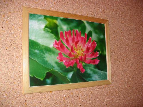 Svirskiy Pliazh Guest House - image 6