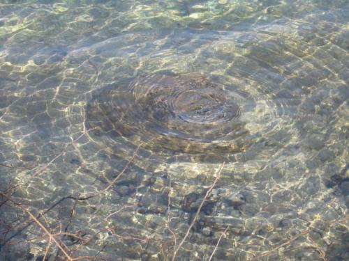 Bauernhof Unterhöfner - image 7