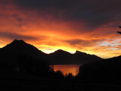 Bauernhof Unterhöfner - image 14