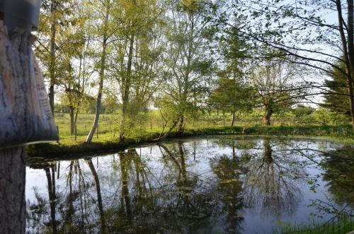 Le Moulin de Charin - main image