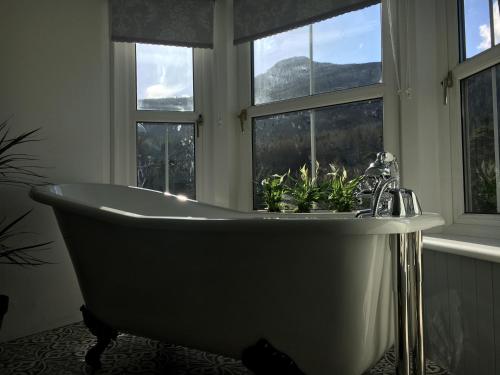 Rosebank House Bed & Breakfast - Tap to explore photos