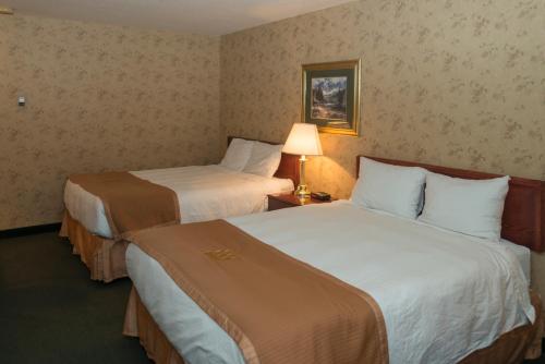 1 double bed, 1 sofa bed
