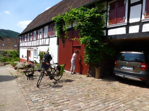 Feriengaleriewohnung Im Denkmal Stilvoll-Komfortabel Baubiologisch in Erlenbach, Deutschland