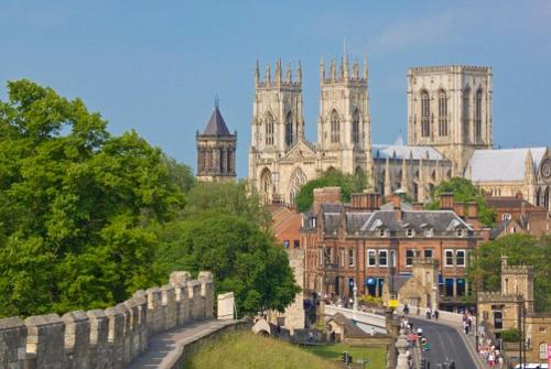 The Wesley - image 14