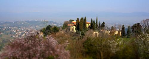 Agriturismo Frigionaia - Hotel - Carmignano