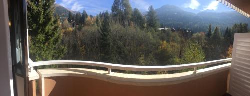 Apartment with Mountain View