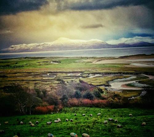 McLoughlins Of Mulranny - image 6