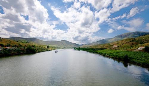 สภาพแวดล้อมโดยรอบ, Quinta Da Ponte in คาวาดูด