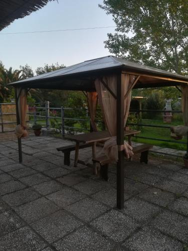 Agriturismo Il Cipresso - image 8