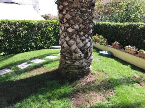 Albergo Rispescia - main image