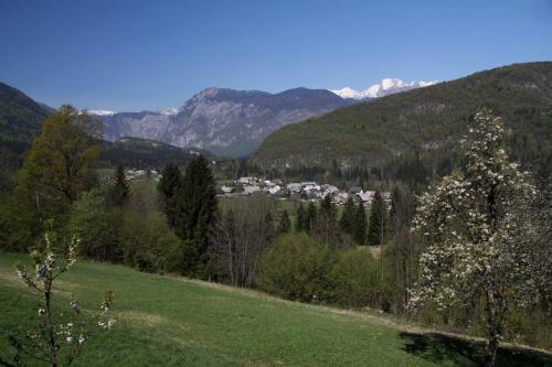 Farmhouse Soklic - image 13