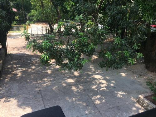 บริการและสิ่งอำนวยความสะดวก, Hotel Sevilla Palenque in พาเรน