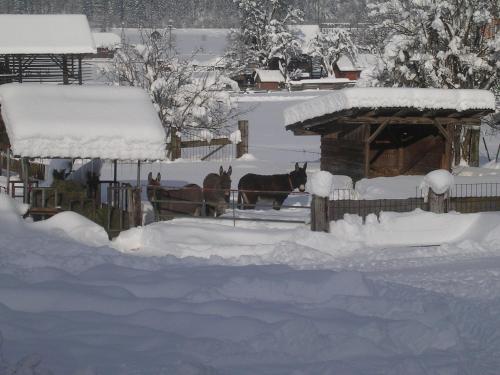 Hotel Beim Winkler - image 8