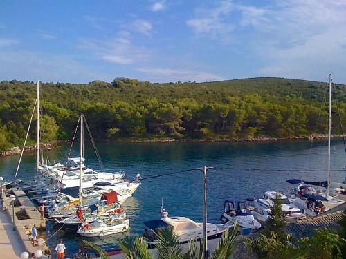 Apartment Lavanda in Molat