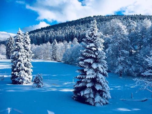 Landhaus Enztalperle in 恩茨克勒斯特勒