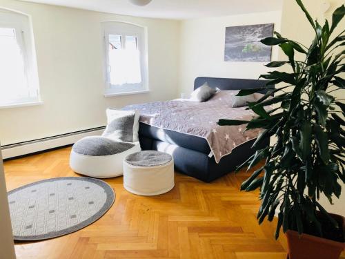 Pension Holzgarten in Regensburg, Deutschland