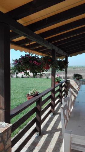 Dor de Casa in Roman