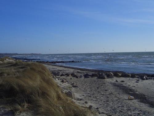 strand, Ferienhof BauerMüller (Ferienhof BauerMuller) in Burg auf Fehmarn