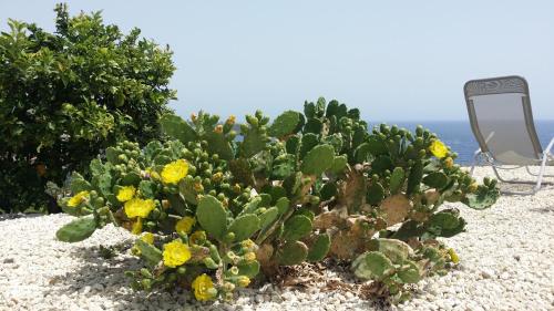 Casavacanze Residence Maia Volcani