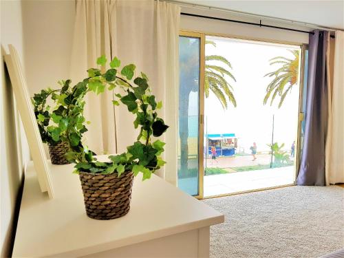 Lloret Paradise Apartments - image 10