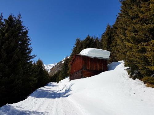 Mountain Lodge Sedrun