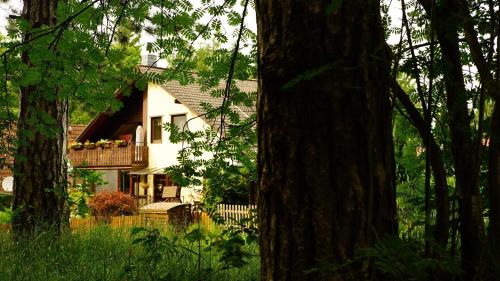 Ferienwohnung im Wald mit Kamin - image 6