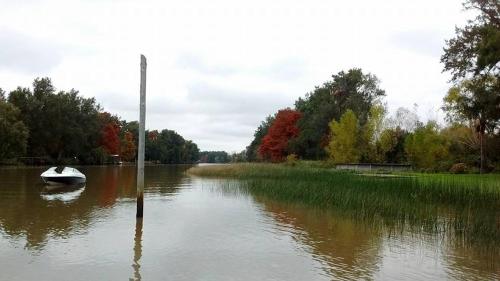 Las Casuarinas del Rio Capitan