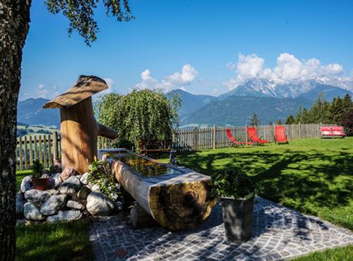 B&B Pfarrwerfen - Brotzeitalm - Bed and Breakfast Pfarrwerfen