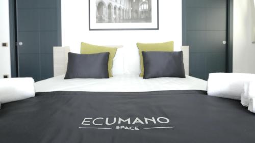 Ecumano Space - image 5