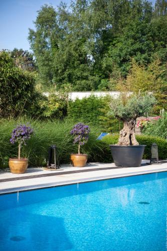 Hotel Thermen Mineraal - image 7