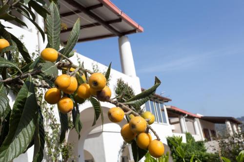Hotel Residence Mendolita - image 6