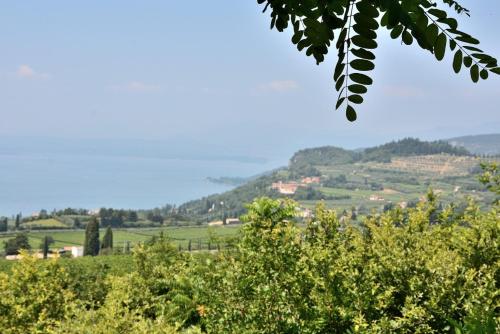 Apartment with Lake View image 2