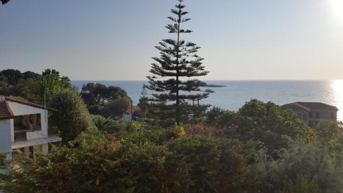 Villa G.Anagnostopoulos in อากีออส แอนดริอัส คาตาโคโล