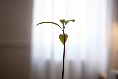 Live in Athens THISEIO Historic House - main image