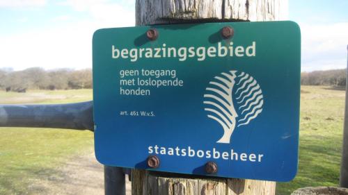 Hotel Restaurant Anno Nu - image 3