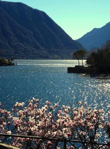 Old Borgo Vico - image 12