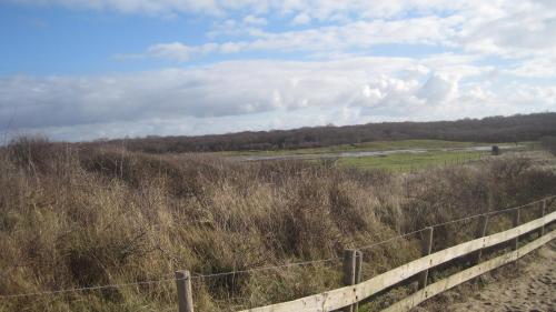 Hotel Restaurant Anno Nu - image 5