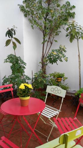 Patios con encanto, Kordoba (zdjęcie 8)