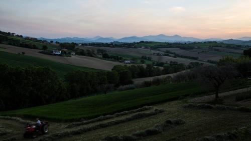 Casali Marchigiani - Ville vacanza - image 10