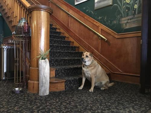 Kalispell Grand Hotel