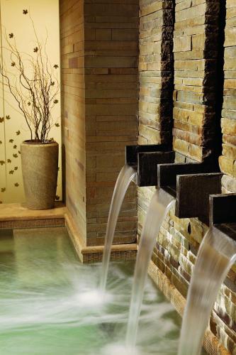 Park Hyatt Beaver Creek Resort - image 7