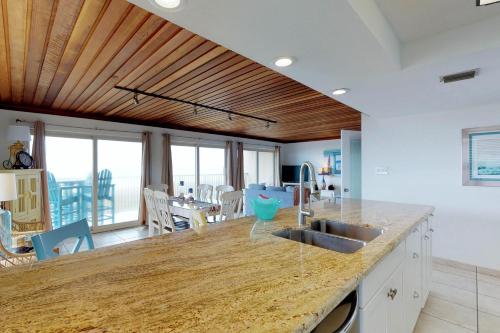 Seagull #301 - image 7