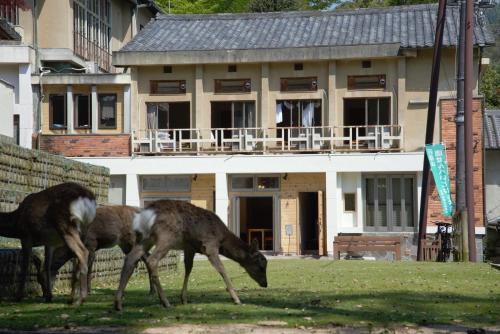 Mountain Home Lodge in Deer Park