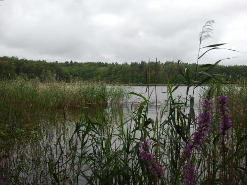 A környék, Finnhütte Canow (Finnhutte Canow) in Wustrow